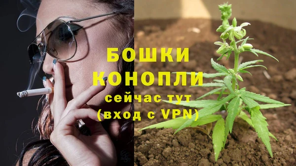 мдпв Пересвет