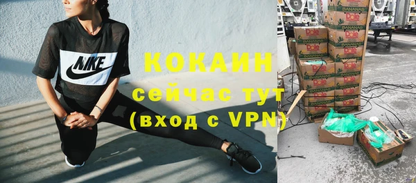 мдпв Пересвет