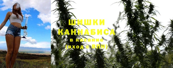 мдпв Пересвет
