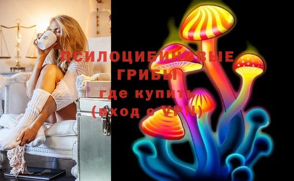 стаф Пестово