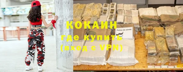 стаф Пестово