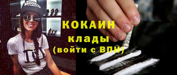мдпв Пересвет