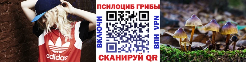 Псилоцибиновые грибы мухоморы  мега маркетплейс  Старая Русса 