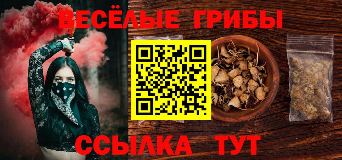 продажа наркотиков  Псилоцибиновые грибы MAGIC MUSHROOMS  Вход с VPN  Старая Русса  Псилоцибиновые грибы MAGIC MUSHROOMS 