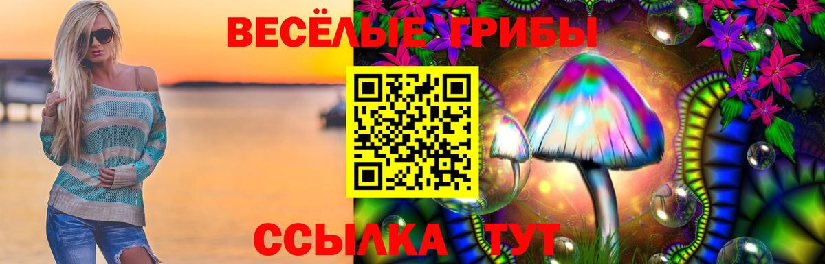 Галлюциногенные грибы прущие грибы Старая Русса